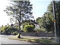 Houses on Empress Avenue, Farnborough