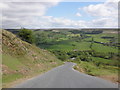 Hillside, above Rosedale Abbey