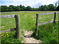 Footpath at Horns Green