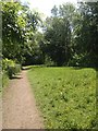 Woodland Pool path