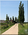 Poplars at Park Farm