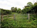 Llwybr Pant Path