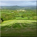 Looking down the lower slopes of Coppet Hill