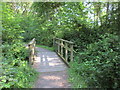 Footbridge on the White Trail