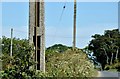 J4869 : Concrete telegraph pole near Comber - June 2015(1) by Albert Bridge