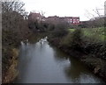 Upstream along the Brue, Highbridge