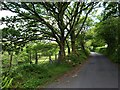 Minor road from Glyntawe to Trecastle at Llwyn-yr-ynn