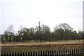 Telecommunication mast in trees