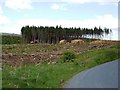 Forestry operations next to road south of Ystradfellte