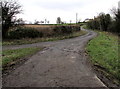 Towards Moys Hill near Westbury-on-Severn