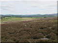 Strathspey from the Lower Slopes of Roy