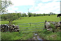 Gate into Field