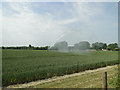 Irrigating the wheat crop at Little London, near Northwold