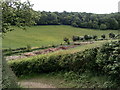 Country lane leading to Flaunden Bottom