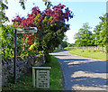 Lane in the village of Rousham