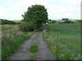 Track to Seaton West Moor Farm