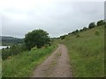SJ8147 : Silverdale Country Park: middle track along NW slope of Void by Jonathan Hutchins