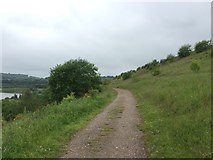 SJ8147 : Silverdale Country Park: middle track along NW slope of Void by Jonathan Hutchins