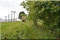 SJ8047 : Silverdale: footpath off Scot Hay Road by Jonathan Hutchins