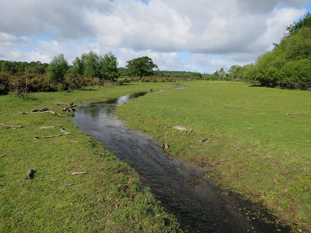 Mill Lawn Brook © Hugh Venables :: Geograph Britain And Ireland