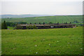 Terraced row near Slack