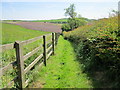 Footpath to Maiden