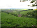 Looking  into  Worsen  Dale