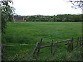 Grazing off Lumley New Road, Woodstone Village