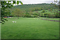 Sheep in the Derwent valley