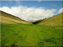 SE8757 : Yorkshire  Wolds  Way  through  Holm  Dale by Martin Dawes