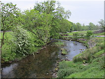 SD8961 : River Aire near Scalegill Mill by Jonathan Thacker