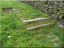 SE0623 : Steps and stone setts on an old footpath, Norland by Humphrey Bolton