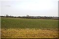 Cropland near Chearsley