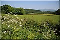 The Clwyd valley