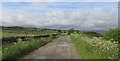 The lane from Gate foot.