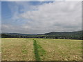 Meadow path at Dean Head