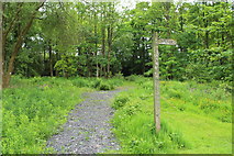 NY1572 : Repentance Tower Trail by Billy McCrorie