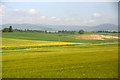 Fields at Quilkoe, Forfar