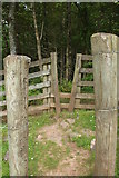 NY1572 : Stile on path from Repentance Tower by Billy McCrorie