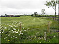 Hay field, Lettergash