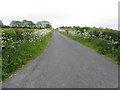 Lettergash Road, Corlaghdergan