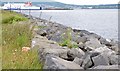 Rock armour, Belfast harbour (June 2015)