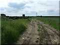 TF1779 : Farm track near Panton by JThomas