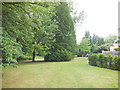 TL4557 : Cambridge University Botanic Gardens by Paul Gillett