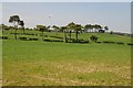 Wind turbine, Clawdd-Newydd