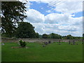 Christ Church, East Stour: churchyard (i)