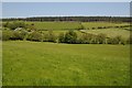 Farmland west of Clocaenog