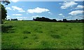 W6261 : Farm fields near Ballinhassig by Hywel Williams