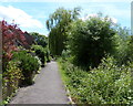 Path heading south along the Castle Mill Stream