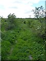 Disused farmtrack